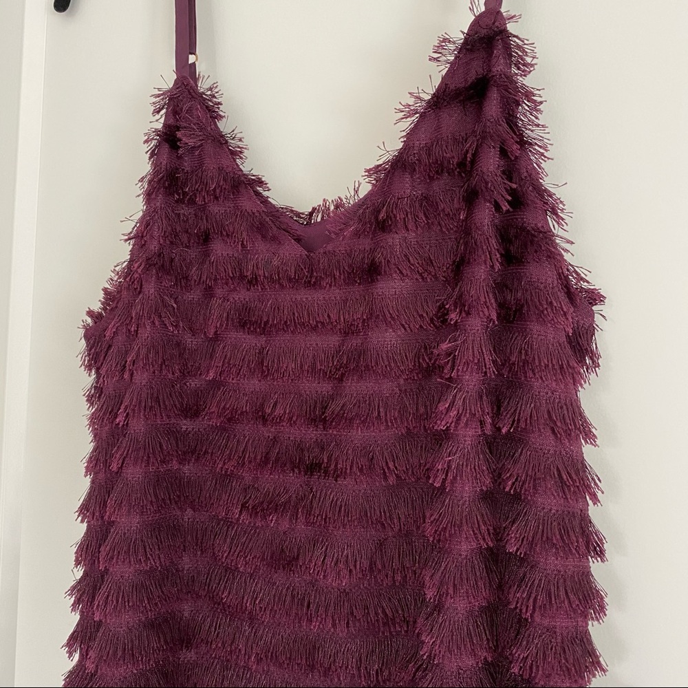 Purple Fringe Dress
